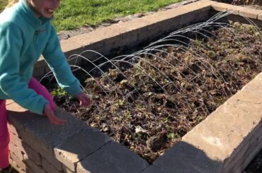 We caught a baby bunny rabbit in our back yard. Super cute animal.