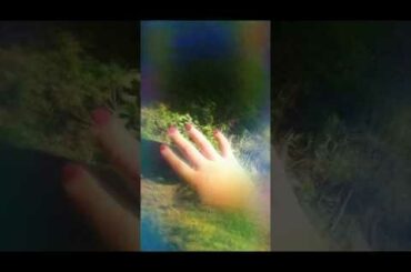 My baby rabbits are soooooooo cute !!!!#