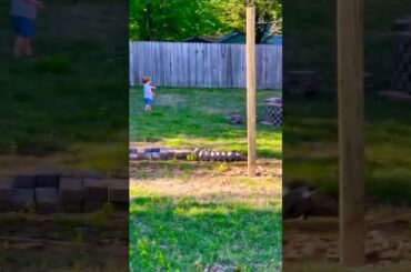 One of My Babies Chasing A Bunny