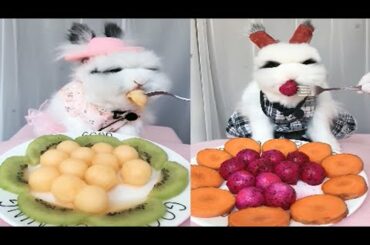Rabbit Eating ASMR, Cute Rabbit ASMR🐰🐰