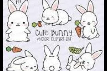 Cute bunny eats,drinks while playing with the owner