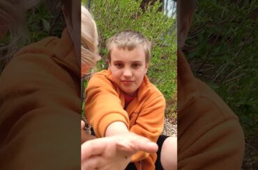 Feeding baby bunnies