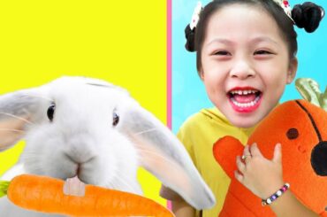 Emma & Wendy Pretend Play Take care of the rabbit - baby and animals