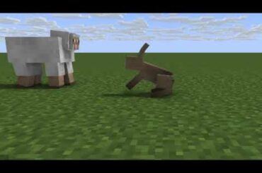 Cute Bunny And Sheep