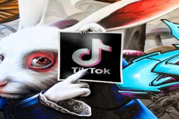 Ten Minutes of the Very Best Rabbit TikTok Videos of This Week (Just Rabbits, No Fillers)