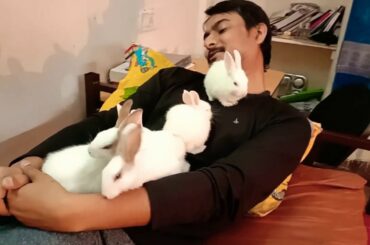 My Cute 5 Baby Rabbits