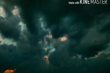 #nature cute Animal and cute baby Animals