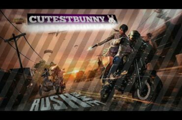 RUSH GAMEPLAY 🔥 &  trolling enemies 🤣  |  Cutest Bunny  |  PUBG MOBILE