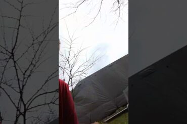 My cute bunnies 🐰