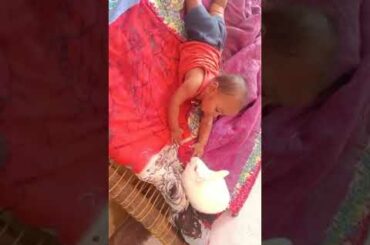 cute baby playing with rabbit