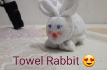 DIY cute Bunny/ DIY Towel Bunny
