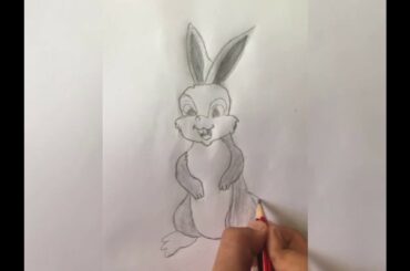 Cute rabbit drawing for begginers