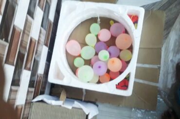 Cute bunny 🐰🐰🐇🐇play ground