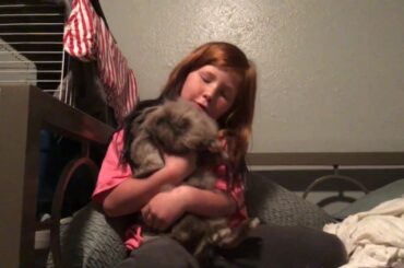 Cute bunny that likes carrots🤗