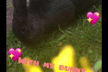 My cute bunny!