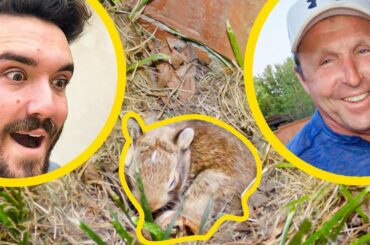 We Found The CUTEST BABY BUNNIES!