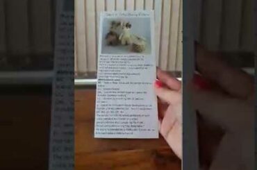 Bunny Video Tutorial 2 - How to read your Crochet Pattern