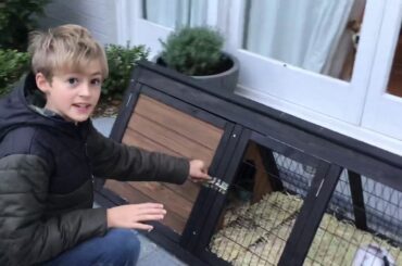 WE GOT BABY BUNNIES!!!!!