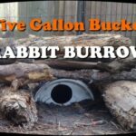 Rabbit Burrow DIY with 5 Gallon Bucket