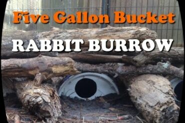 Rabbit Burrow DIY with 5 Gallon Bucket