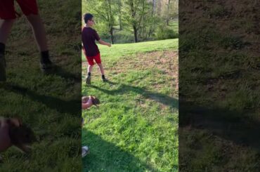Trying to catch a baby rabbit fail