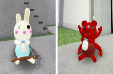 BaBy Piggy Parasse VS Baby Piggy Bunny