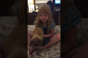 Mia and Ruby baby bunny