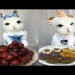 Rabbit Eating ASMR, Cute Rabbit ASMR, 토끼 먹는 ASMR, Part 10