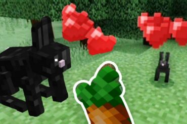 I Found a Cute Black Rabbit in Minecraft!!