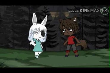 Doggy and bunny cute momments (no no no meme)