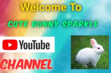 Bunny Sparkle Eating Cilantro/ Coriander Leaves