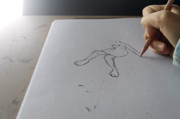 Drawing a cute bunny furry