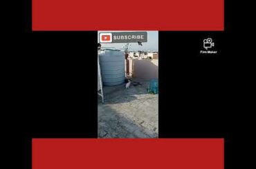 Playing with my cute baby rabbit 😋😃