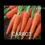 Safe vegetable and fruits for rabbit /rabbit food in Hindi (pet zone)