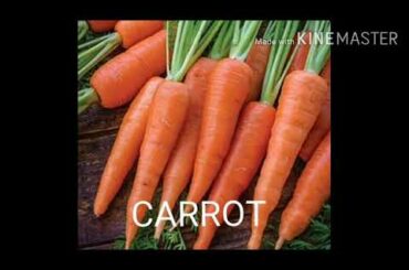 Safe vegetable and fruits for rabbit /rabbit food in Hindi (pet zone)