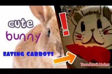cute bunny craft ,eating carrot.