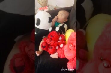 Teddy with Teddies❤️| Baby Video| LITTLE BUNNIES