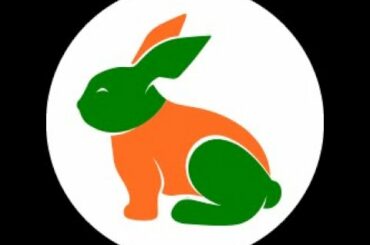 #rabbit #localrabbitfarm Rabbit Anatomy (кролики анатомия)