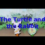 The turtle🐢 and the rabbit🐇