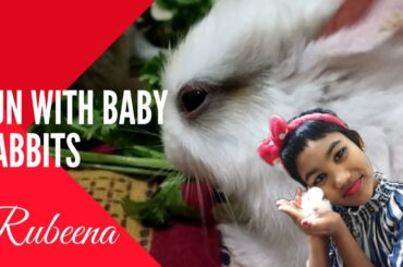 Funny Baby Rabbits | cutest baby Rabbits | new born baby rabbits  with | Rubeena |