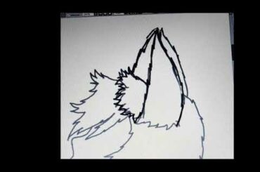 Black Cat and Cute Bunny / Draw / Paint Tool Say