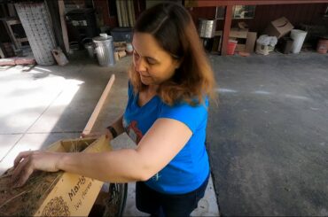 Not Too Busy to Take Care of Baby Bunnies