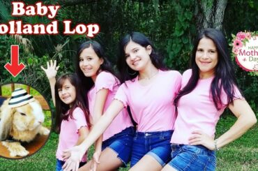 Update of our Holland Lop bunny | Quarantine Mothers Day!