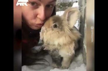A cute bunny who loves snow so adorable must watch video