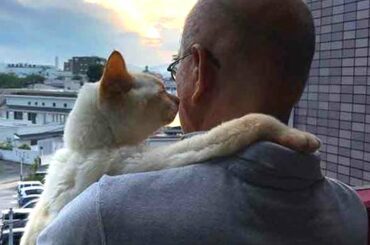 Kittens Cured Depression 😘🐈 Soo Cute 😽 WHO IS NEXT 😀