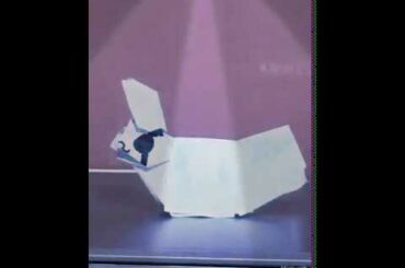 Bunny origami cute party piggy roblox