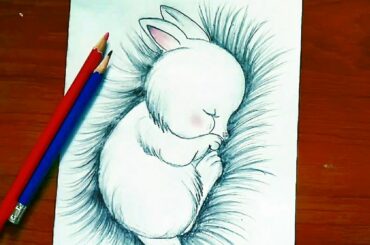 How to draw a rabbit easy step by step||cute bunny Rabbit  drawing for beginners  (sketch)