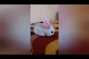 DIY bunny / cute bunny from woolen / how to make a bunny