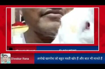 Masti with Cute Rabbit Tu Tu