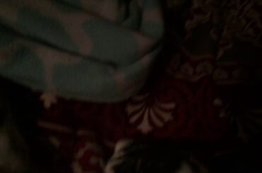 Baby Bunny Triplets Being Cute